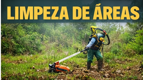 Limpeza de Terrenos valorizando seu imóvel, evitando multas da prefeitura