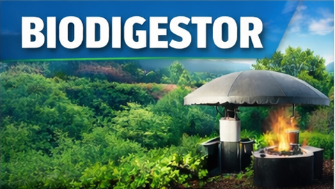 Biodigestor