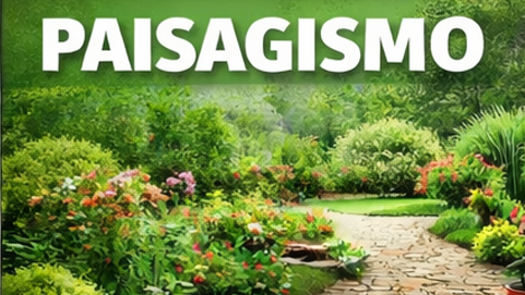paisagismo - seu jardim bem cuidado transmitindo paz de espirito te conectando com a natureza