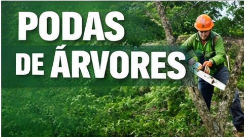 Podas em àrvores e arbustos